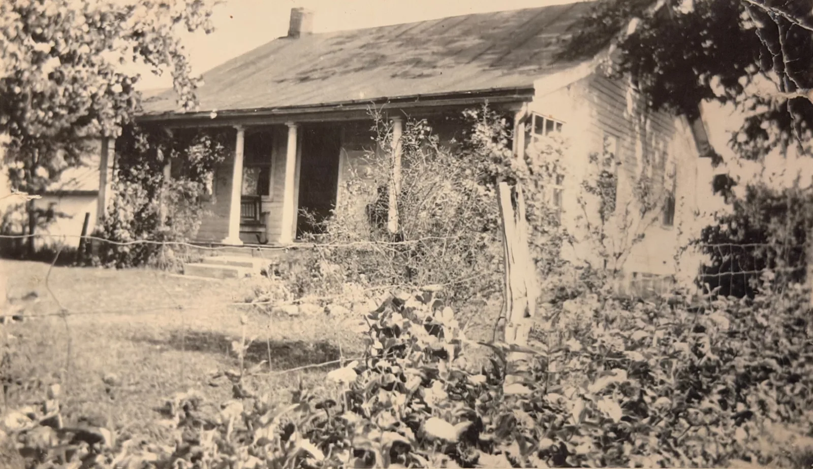 The original family farmhouse